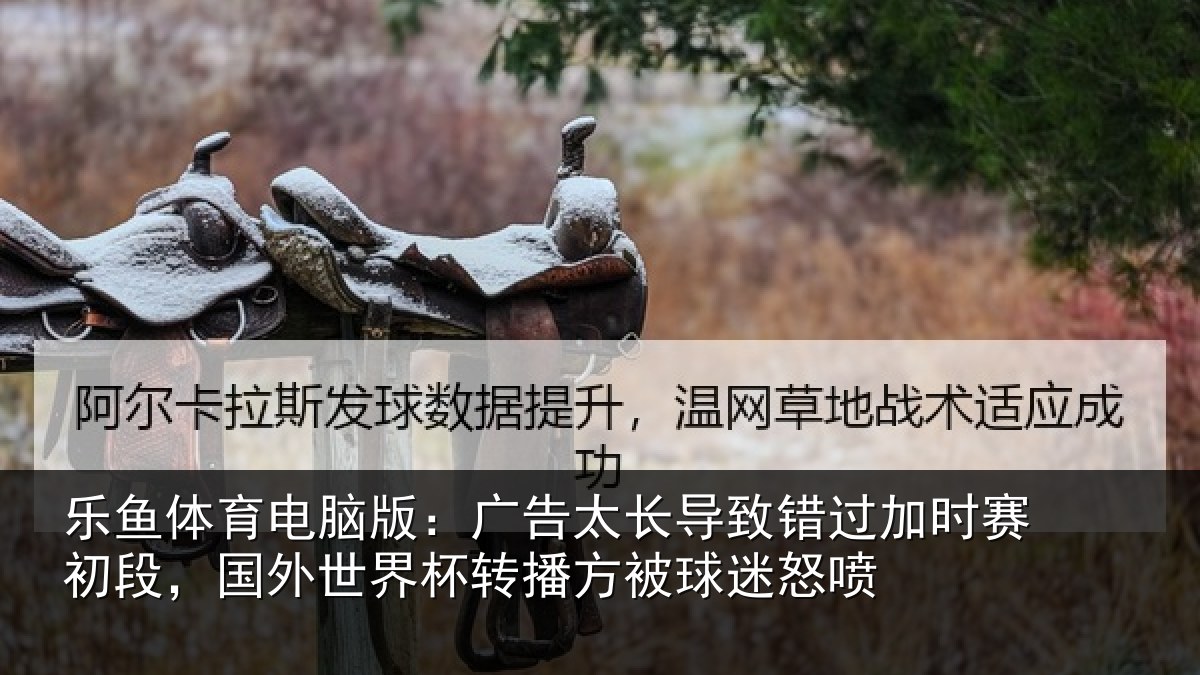 乐鱼体育电脑版：广告太长导致错过加时赛初段，国外世界杯转播方被球迷怒喷