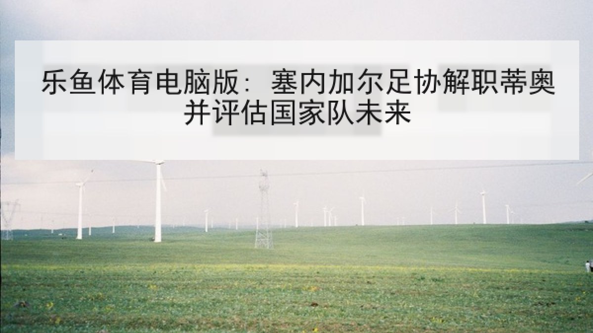 乐鱼体育电脑版: 塞内加尔足协解职蒂奥并评估国家队未来