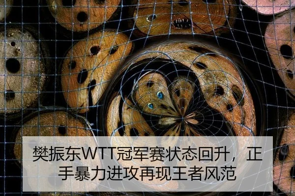 fan-zhen-dong-guan-jun-sai-zhuang-tai-hui-sheng-zheng-shou-bao-li-jin-gong-zai-xian-wang-zhe-feng-fan-2-323.jpg