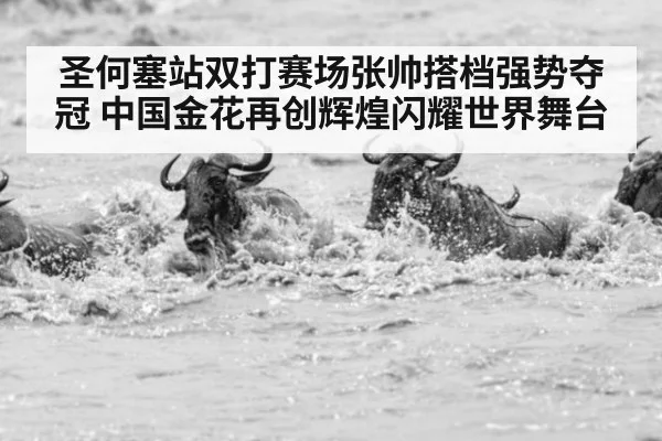 圣何塞站双打赛场张帅搭档强势夺冠 中国金花再创辉煌闪耀世界舞台