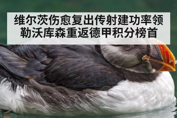 维尔茨伤愈复出传射建功率领勒沃库森重返德甲积分榜首