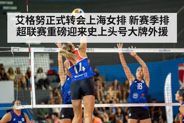 volleyball match action