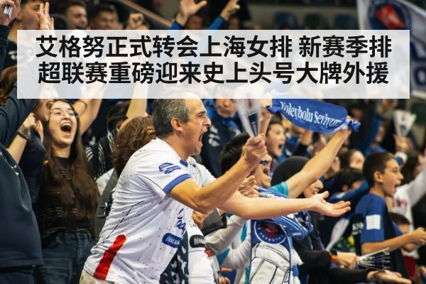 volleyball stadium crowd